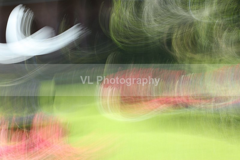 Initiative - ICM