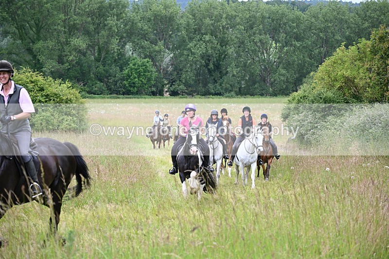 WJ6_8384 - Camera 1 Gallops