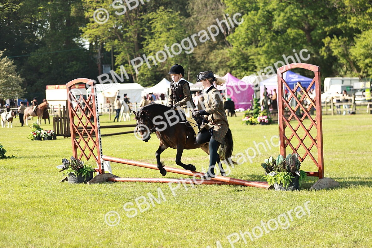 SBM_11213 - Class 106-107 - BSPS LIHS Working Sports Pony