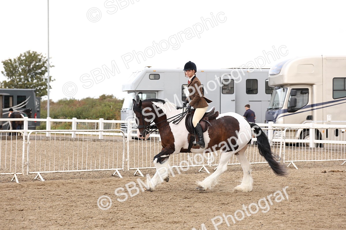 SBM_04207 - Class 54 - Riding Club Horse/Pony