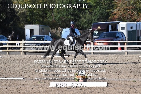 BPP_8774 - SHORT ARENA INTRO 2