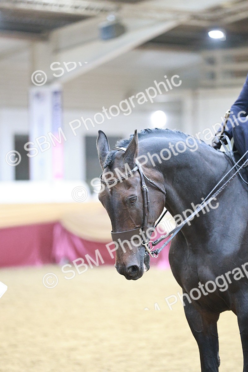 SBM_08840 - Class 12R - Regional Ridden Pre-Vet