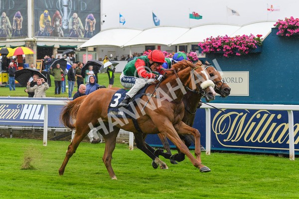 140723-Race 1-Northern Express-0053 - Race 1 2.05pm William Hill Epic Value Handicap