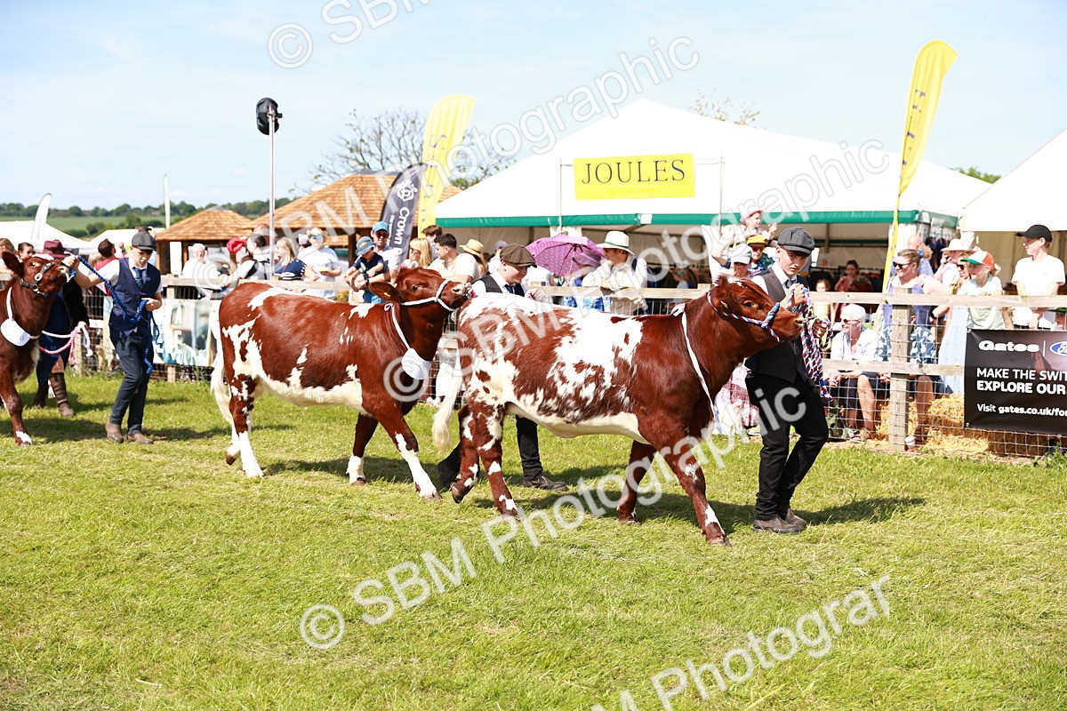 SBM_08331 - Grand Parade