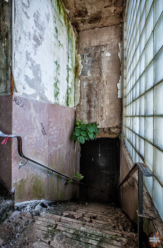 WFBR Radio (Baltimore, MD) | Secret Garden - WFBR Radio