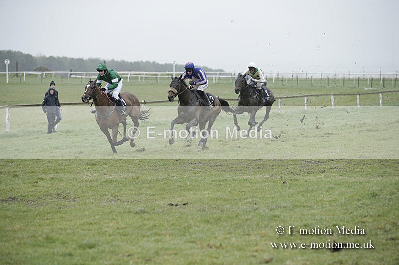 PtP 150320 0168 - New Forest Point-to-Point Larkhill 15/03/20