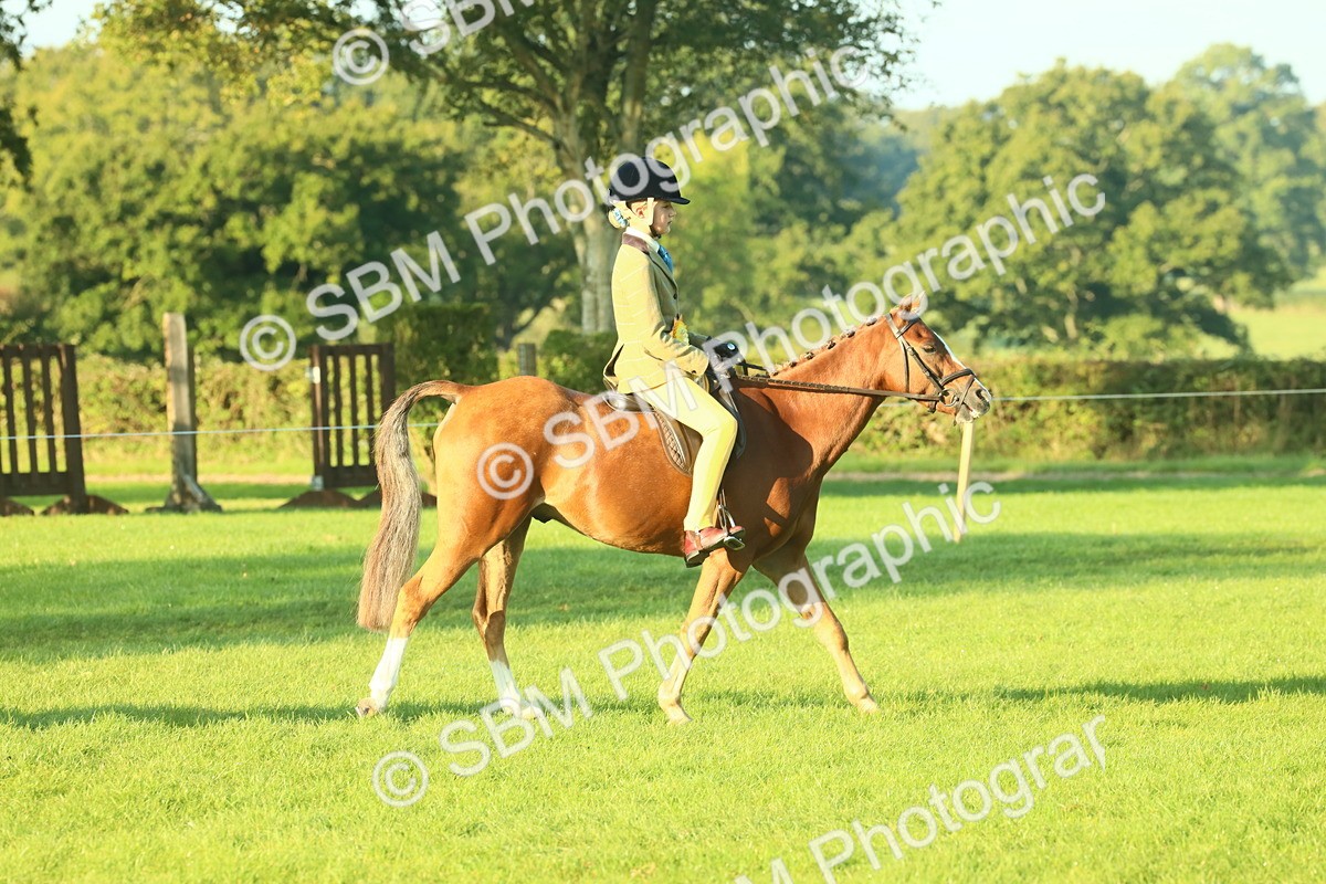 SBM_56771 - S36 - Starters Best Turnout