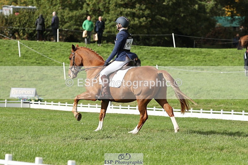 251024A-134934-12671 - H-654-Philippa.Skelton