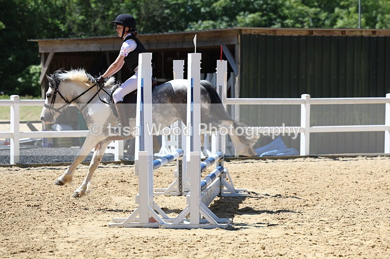 3E7A2412 - Class 4/5: 60cm Open Teams and Individuals