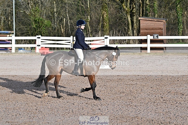 250125-100915-00125 - Dressage - CT Class 4 BE95 (80cm)