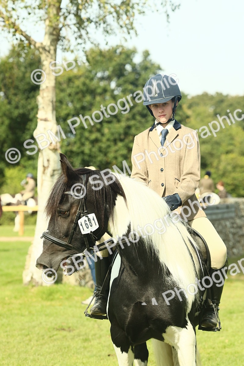 SBM_66661 - S34 - Rehabilitated Rescue Horse & Pony In Hand & Ridden