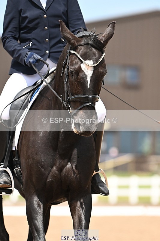 240621A-144807-04349 - Cls 8 BD Elementary 53