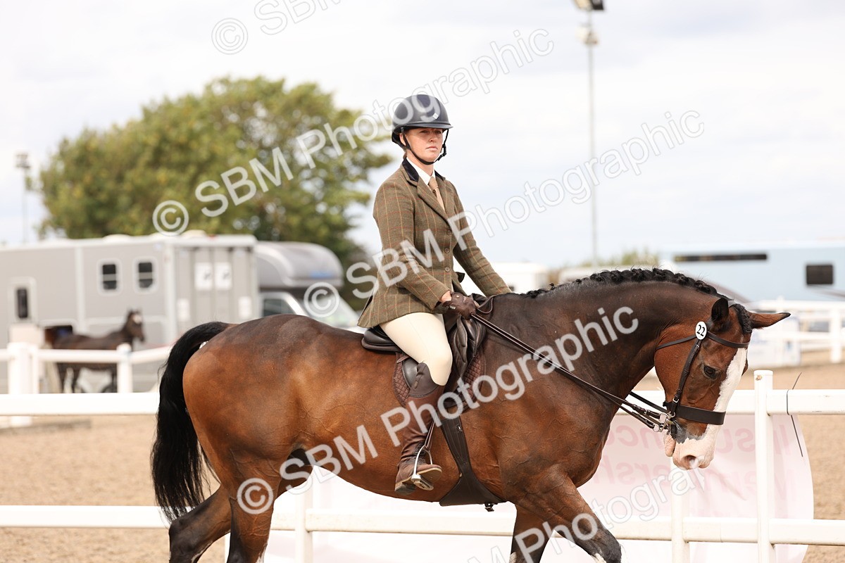 SBM_17172 - Class 213 - Ridden Hunter - Large