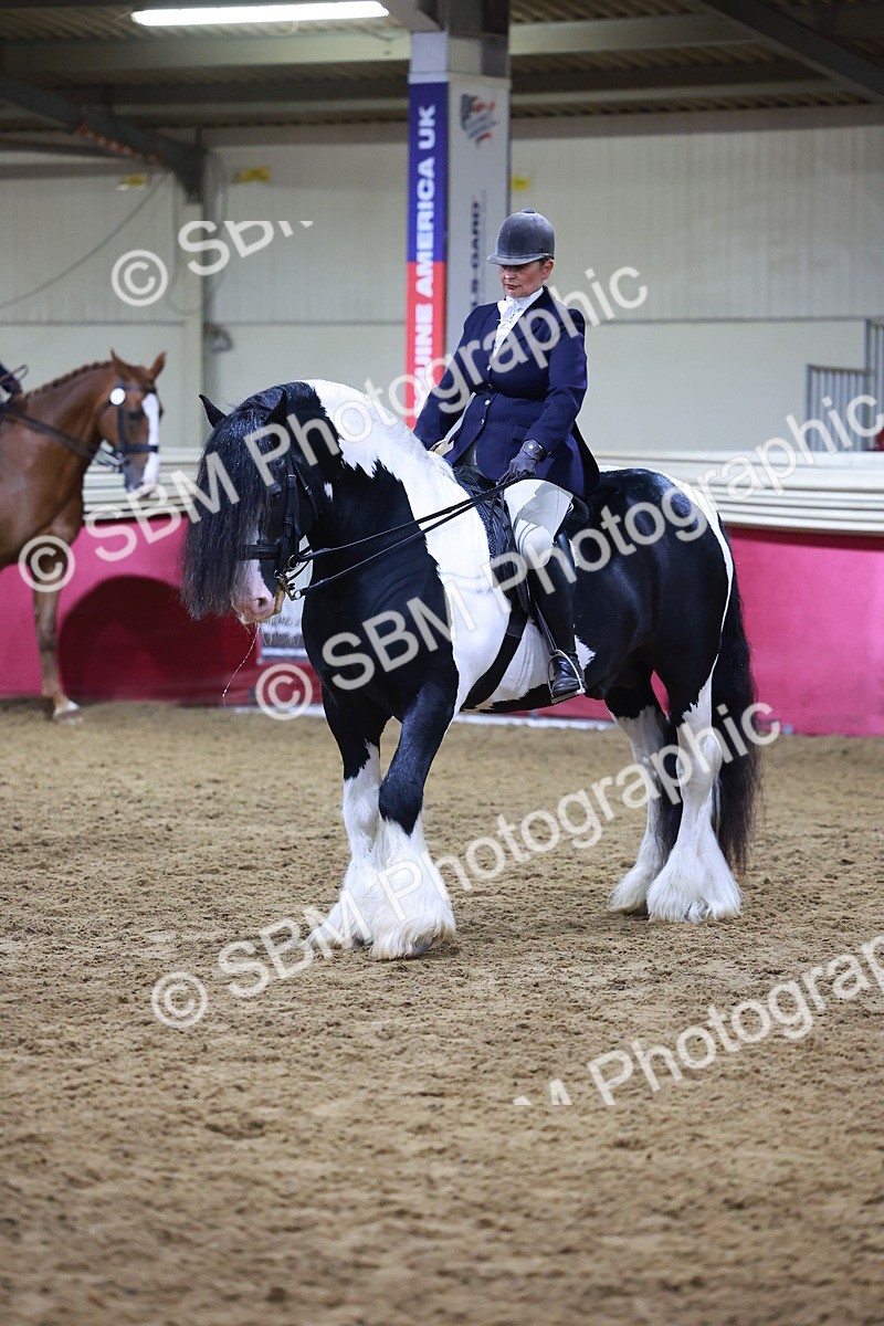 SBM_15409 - Class Q - Ridden Horse Champ