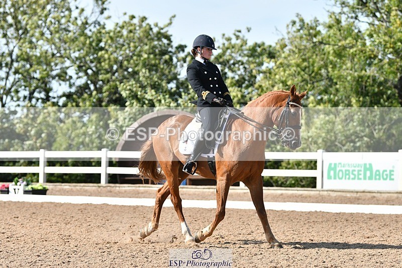 250906-154857-04443 - 122-India.JohnGrayswood.Orlando