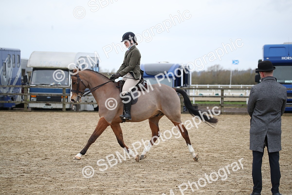 SBM_004663 - Class 5-9 - NPS In Hand-Show Hunter-Intermediate Ridden Inc Ridden Championship