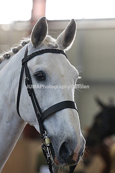 SIAL9717 - Indoor Classes