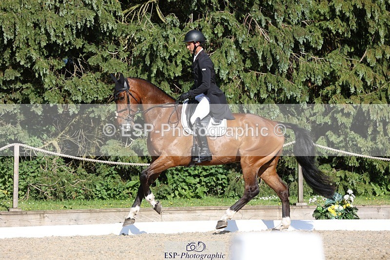 230526-174221-08015 - 180-GUEULE_DE_REVE-Arthur_Duffort-WEDTrotUp+DR