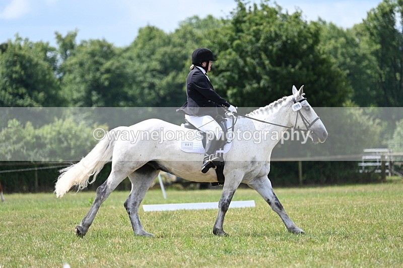 WJ7_4944 - Time 11:22 to 11:51