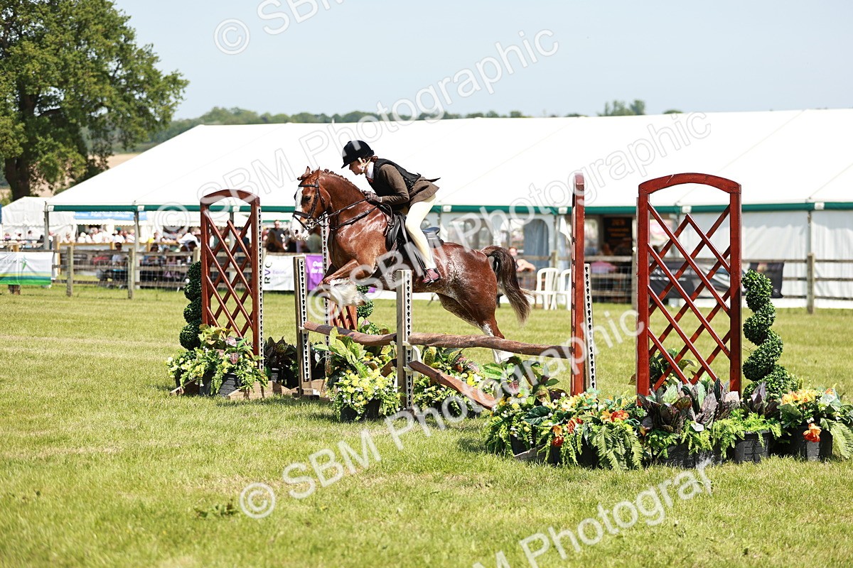 SBM_15521 - Class 108-109 - BSPS LIHS Open Gradle & Nursery Stakes