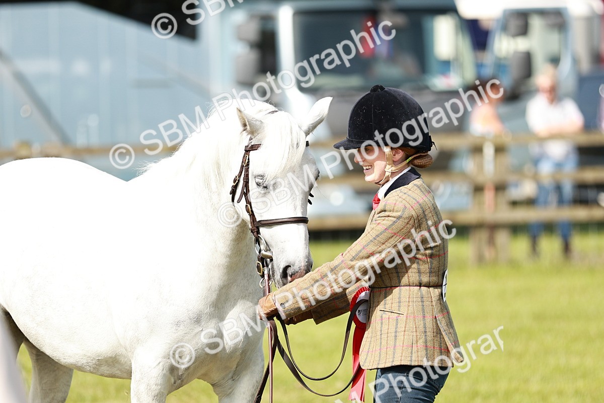 SBM_01715 - Class 14-23 - Mountain & Moorland In Hand Non Welsh
