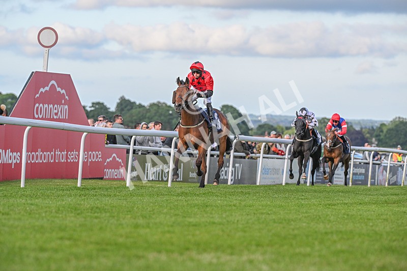 180624-Race 3-Sunny Orange-8594 - Race 3