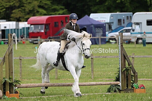 IMG_2508 - Working Hunter