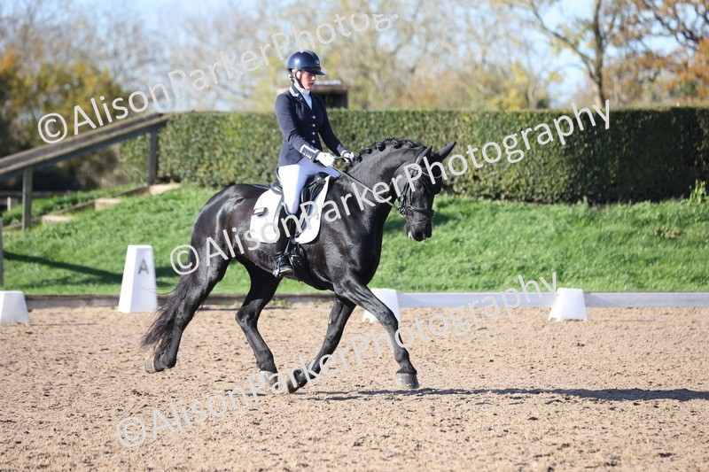 20251102-0563 - Class 3 - Novice 5