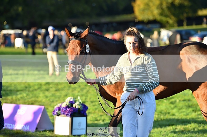 231022-085106-21399 - 668-BOWHAYLANDS.SKYFALL-Miya.Johns-TrotUp+SJ