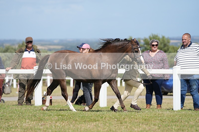 DSC07575 - Class 62: Child Handler