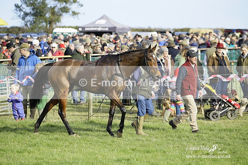 PtP 300122 288 - South Dorset Hunt - Point-to-Point Races 30/01/2022