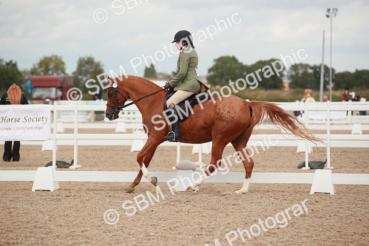 SBM_06003 - Class 32 - Novice 1