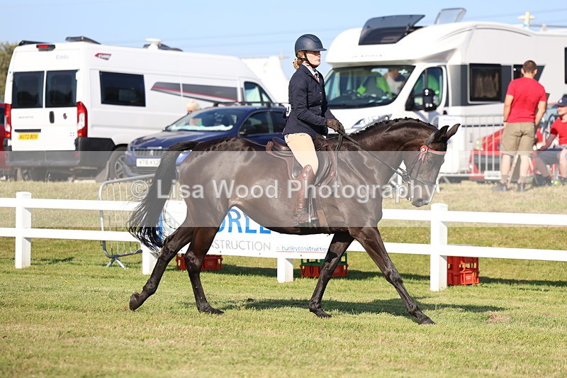 3E7A5311 - Class 2: Rising Star Large Hack/Riding Horse