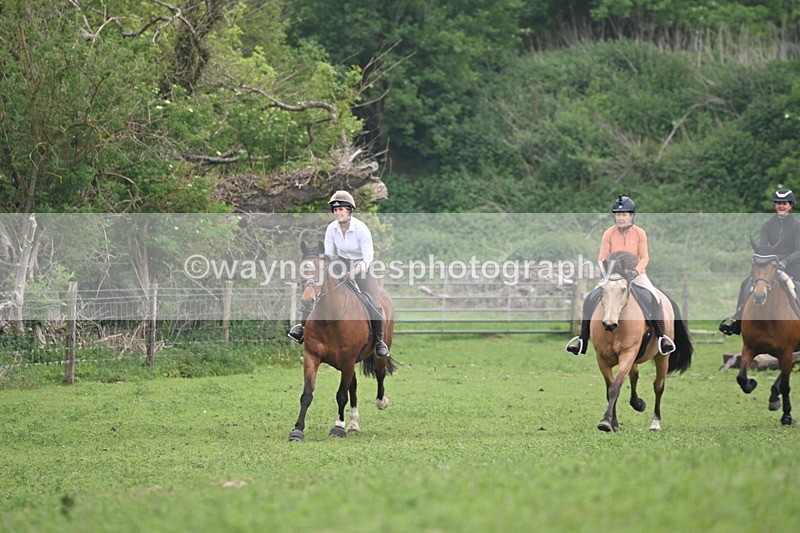 WJ6_2590 - A camera