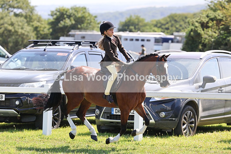 IMG_2024 - Class 34: Show Hunter Pony 153cm and under