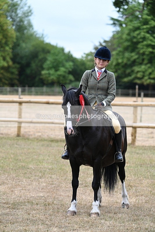 WJ7_0679 - Class 6 Ridden Mountain and Moorland
