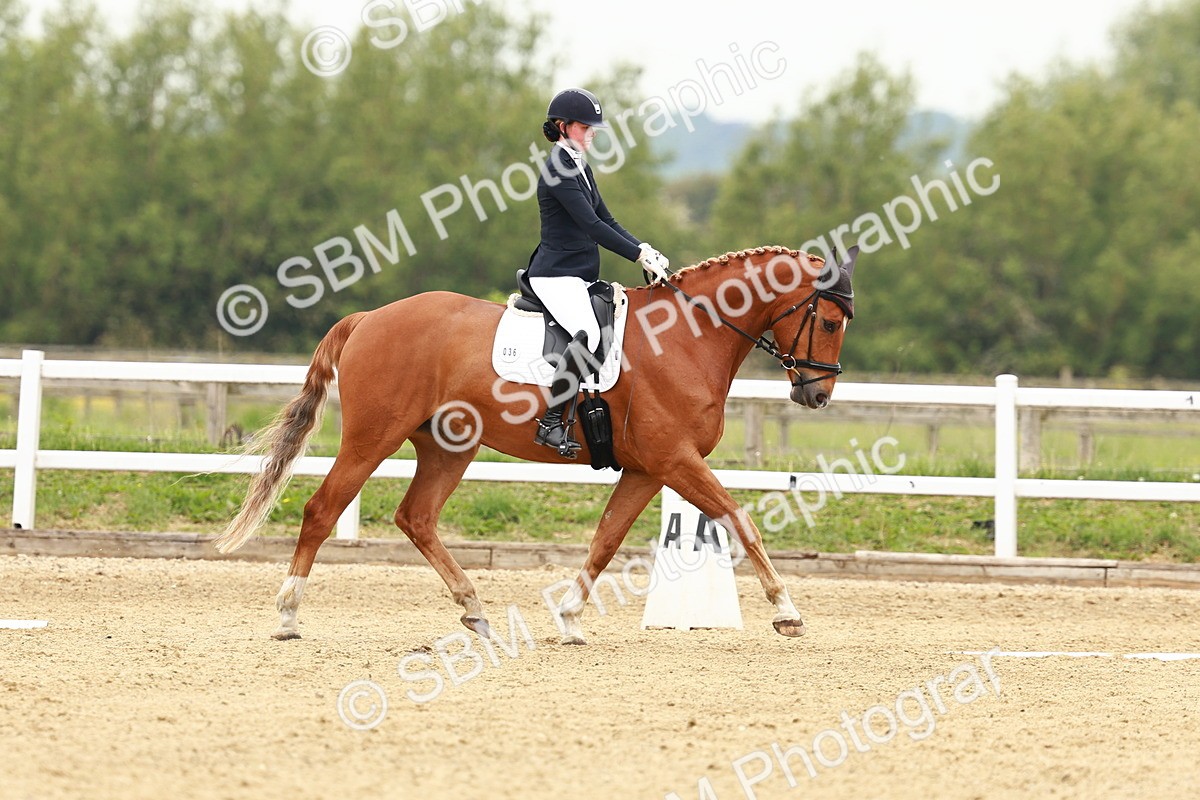 SBM_001247 - Class 6 - Novice 4