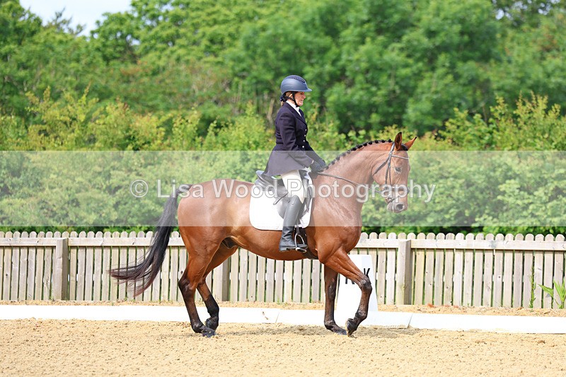 3E7A8924 - Class 1: Intro 1 2024 Section A