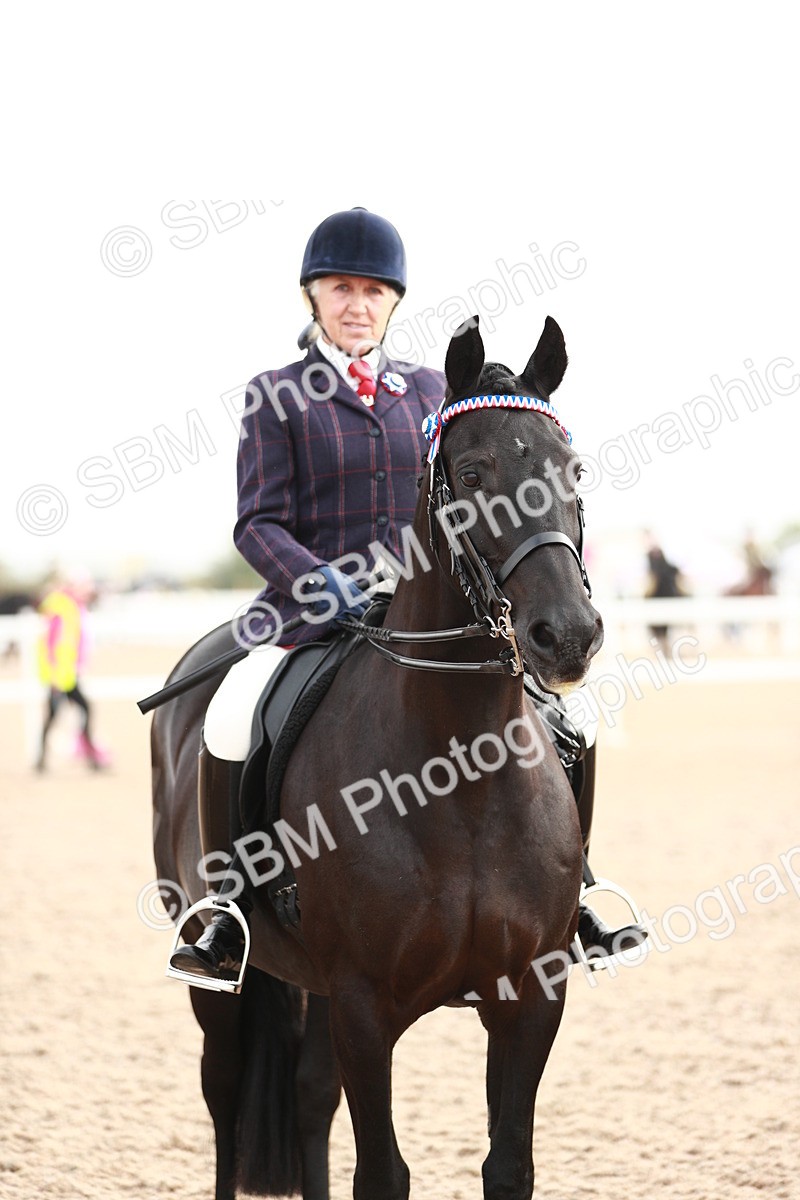 SBM_09416 - Class 202 Best Turned Out Ridden