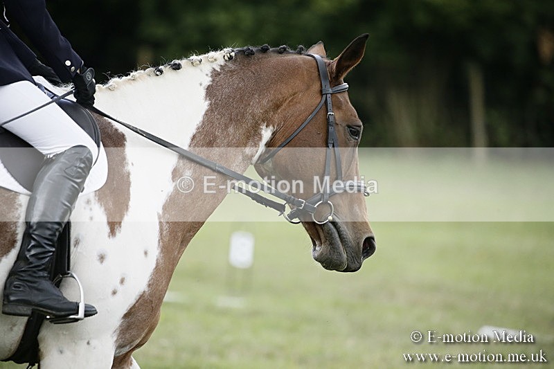BVR090918 197 - BVRC Dressage and Show Jumping 09/09/18