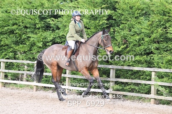 BPP_6929 - RING 1  (RIDDEN HORSES / IN HAND / VETERAN ETC)
