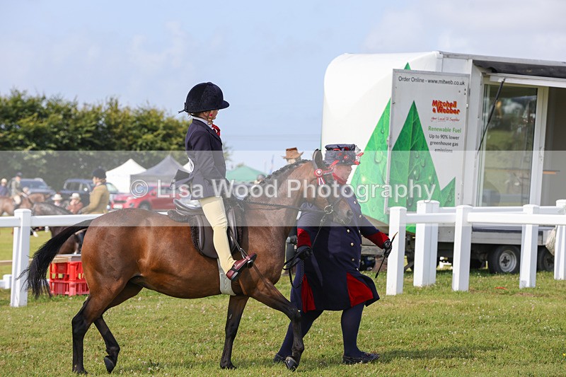 1X9A3601 - Class 29: Lead Rein SP/SHP