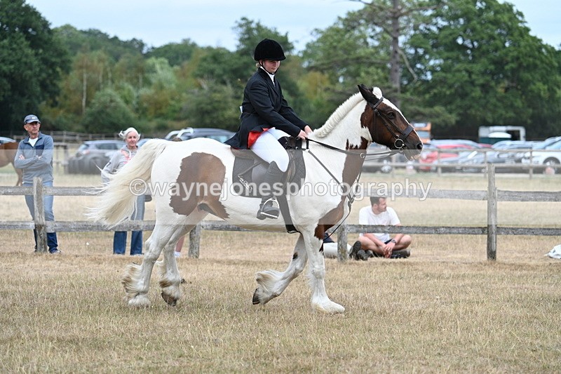 WJ7_1375 - Class 8 Ridden Veterans