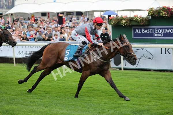 yr04092022r1-30 - Race 1 1.45pm IRE Incentive, It Pays To Buy Irish EBF Novice Stakes