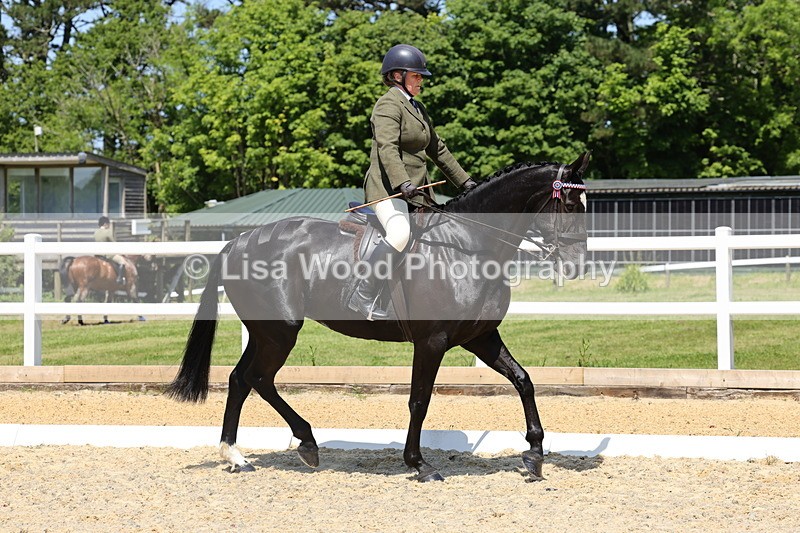 1X9A1793 - Class 12: Ridden Riding Horse/Hack