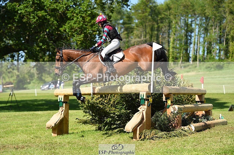 230527-163304-12167 - 373-BENGAL_LORE-Pippa_Taylor-XC