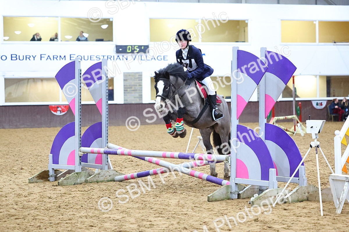 SBM_001256 - Class 3 - Christmas Tree Stakes - 60cm