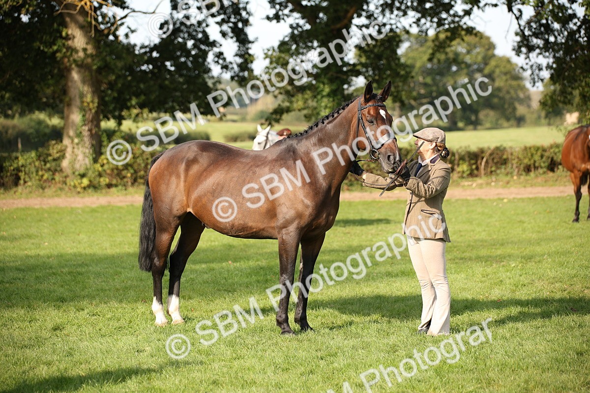 SBM_60085 - S53 - Hunter In Hand