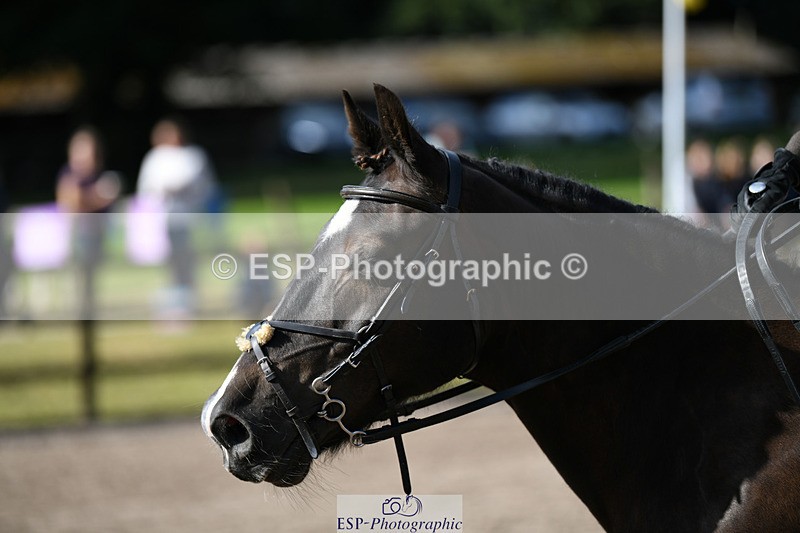 240825X-094303-30830 - 70cm SJ 9.15 to 10.21