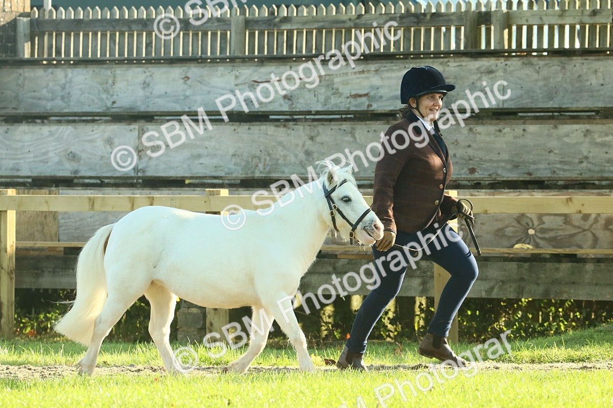 SBM_58550 - S37 - Starters In Hand Showing